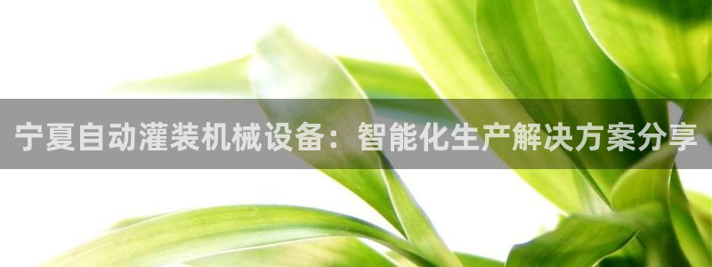 杏盛平台注册登录：宁夏自动灌装机械设备：智能化生产解决方案分享